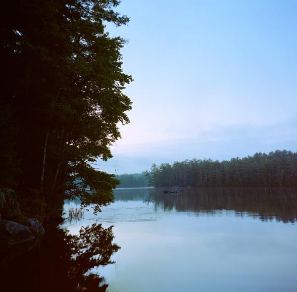 -Projection: Rectilinear (0)FOV: 53 x 54Ev: 11.89